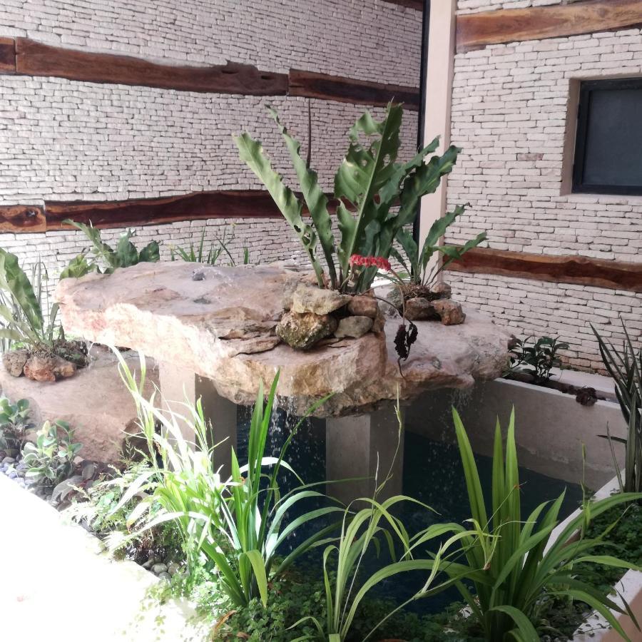 P15 Apartamento *